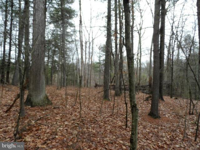 29 Silverstone Ln, Berkeley Springs, WV 25411 - photo 1