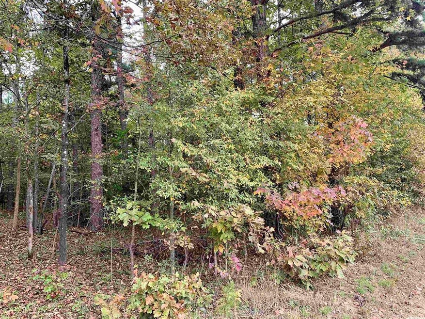 2.5 Acres Greene 140, Paragould, AR 72450 - photo 1