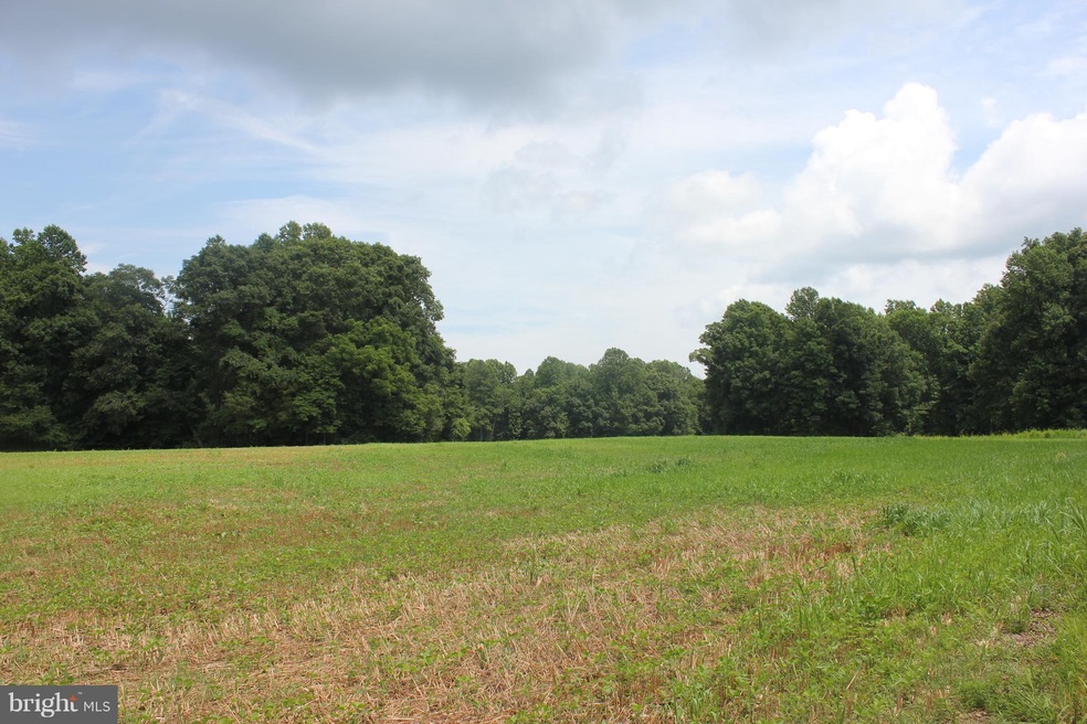 0 Horse Landing Rd unit 1000150275, Mechanicsville, MD 20659 - photo 1