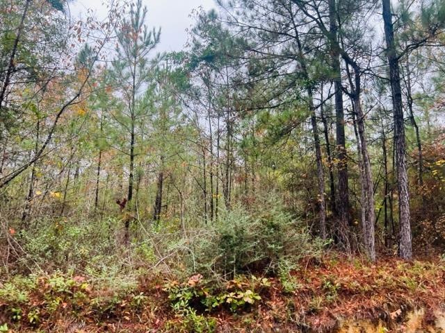 TBD Hinson Rd, Tylertown, MS 39667 - photo 1