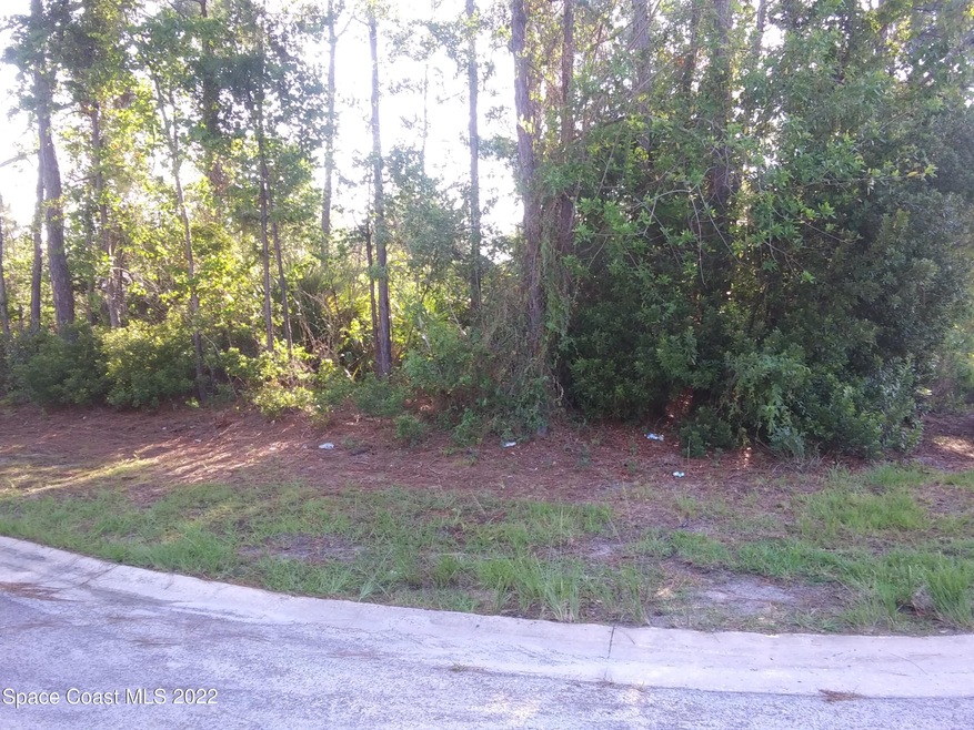 Front of lot