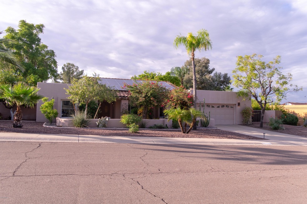 Front Yard 5