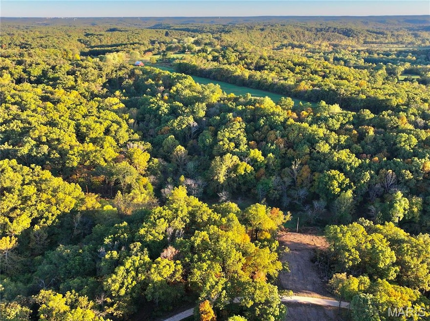 Aerial overview of property's location with a heavily wooded area