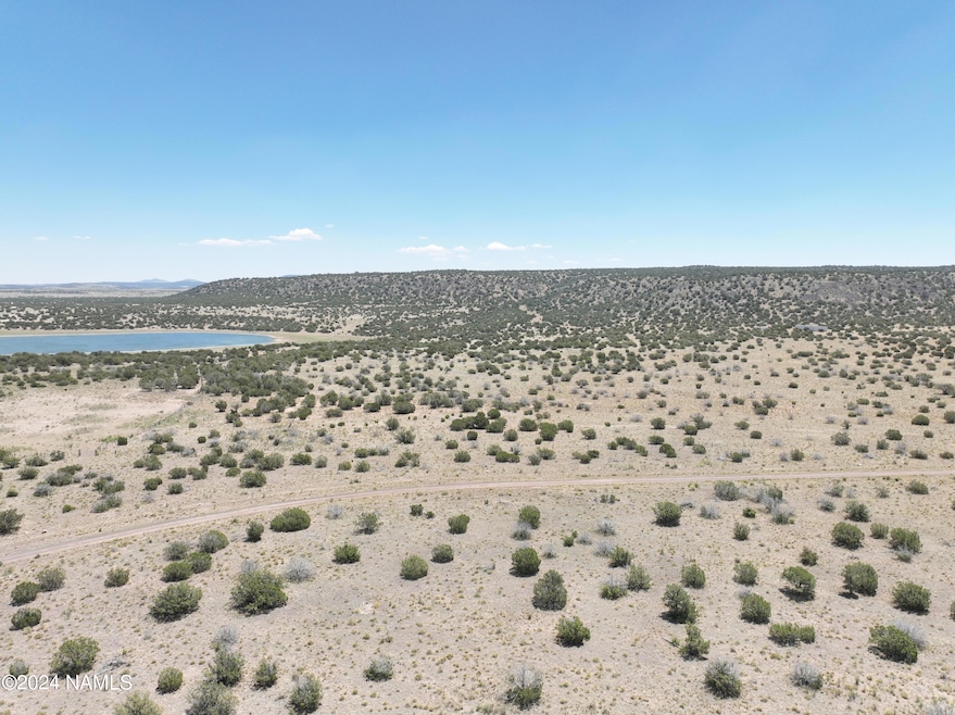DJI_20240615114732_0009_V