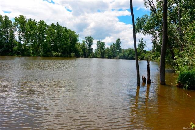 LAKE 3.JPEG