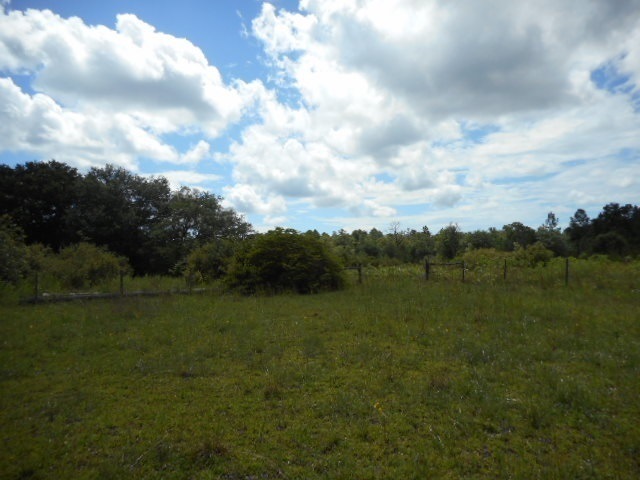 0 Kasey Ln, Crawfordville, FL 32327 - photo 1