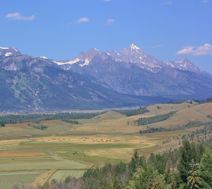 A Grand View
