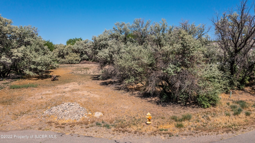 4283 Rancho de Animas Dr, Farmington, NM 87402 - photo 1