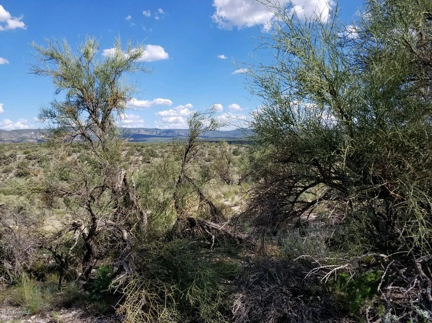 Thunder Ridge Views2