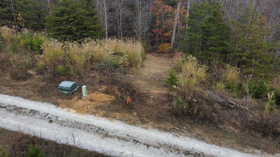 dji_fly_20241109_131916_587_173117670275