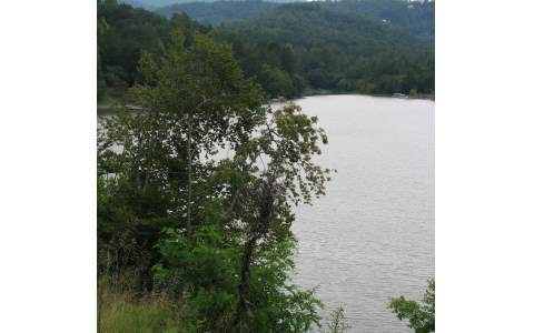 838 Dogwood Trail, Hiawassee, GA 30546 - photo 1