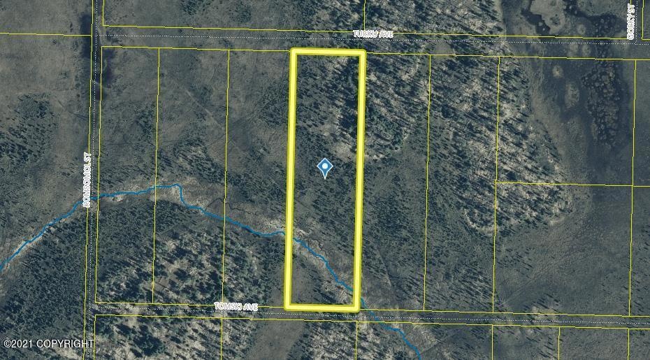 Tr8 Tomski, Anchor Point, AK 99556 - photo 1