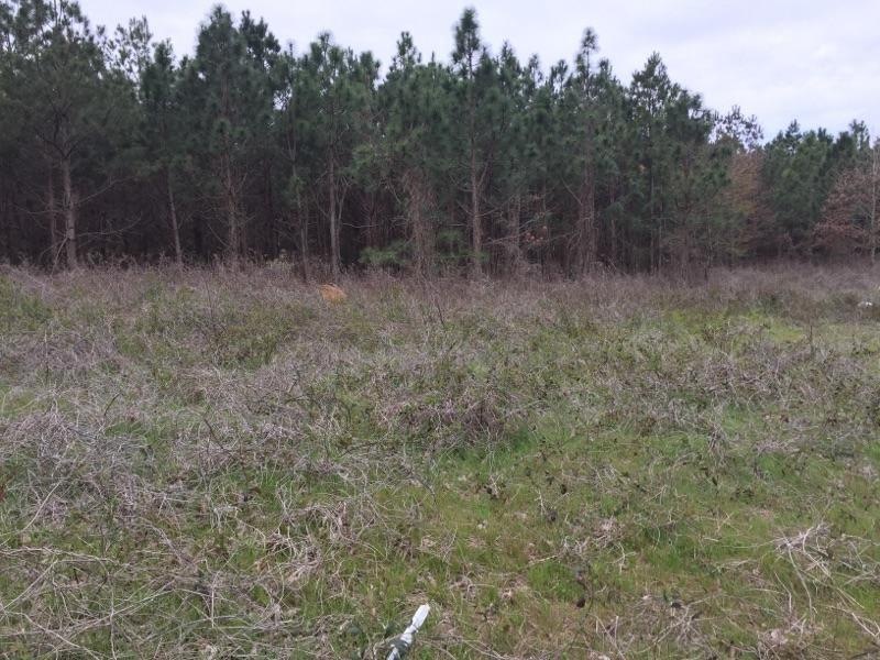 0 Hwy 26 unit 201063, Elko, GA 31025 - photo 1