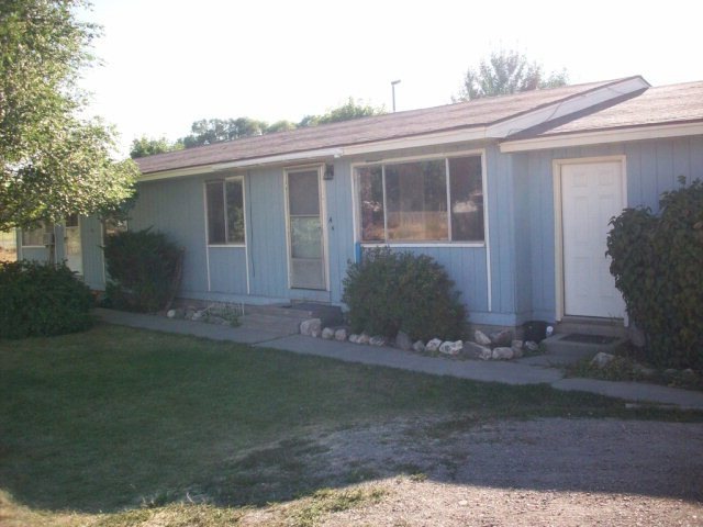 Main View