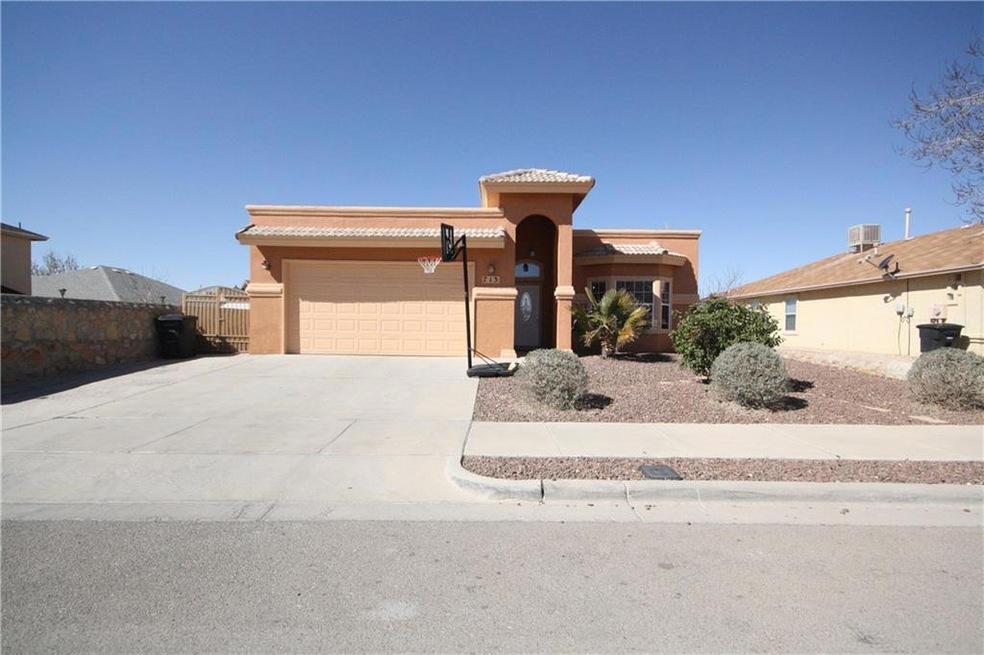 713 Desert Silver Dr, Horizon City, TX 79928 - photo 1