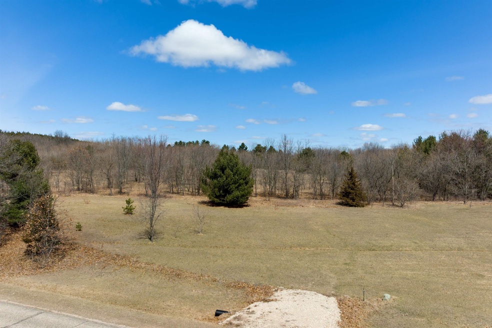 Lots 1-2 N Front St, Coloma, WI 54930 - photo 1