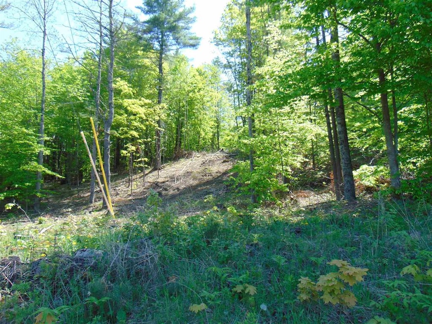 2 Crepeault Hill Rd unit 2, Saint Johnsbury, VT 05819 - photo 1