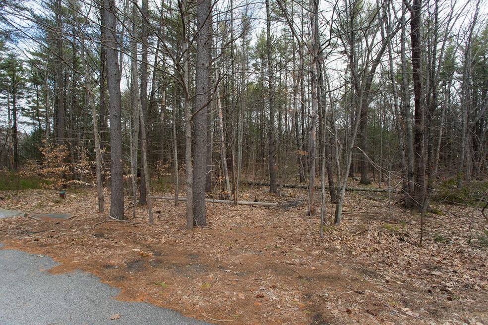 Lot A 170 Chases Pond Rd, York, ME 03909 - photo 1