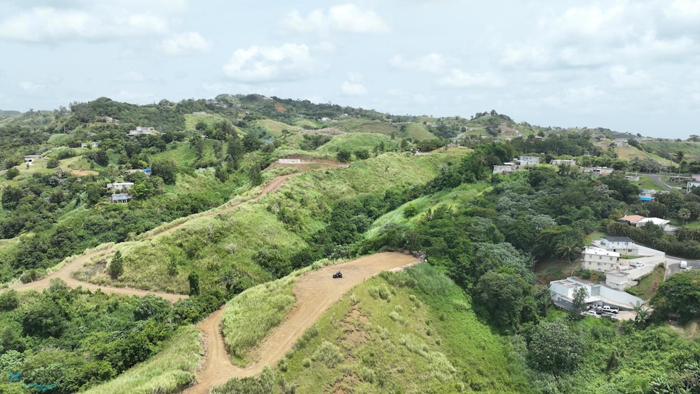 Carr 773 Km 2 6, Barranquitas, PR 00794 - photo 1