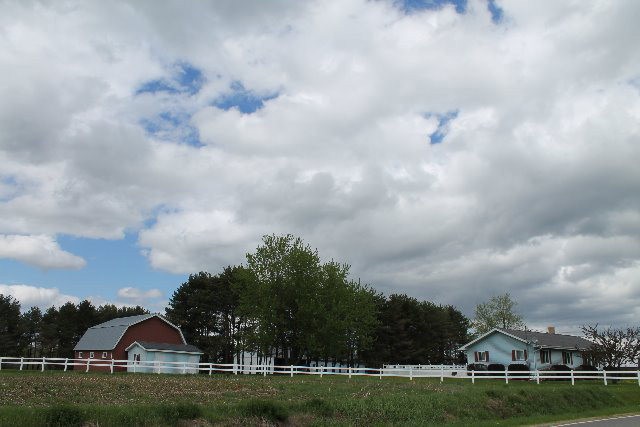 Main View