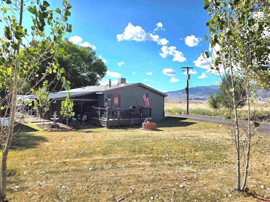 20020 Kenosha Rd, Austin, CO 81410 - photo 1