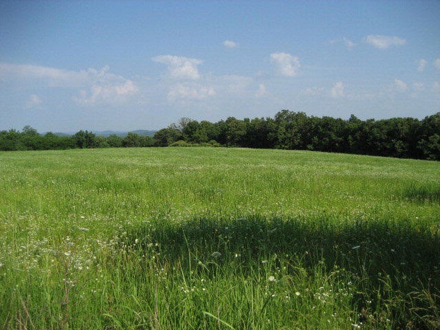 0 Fr 2190 unit 60010578, Shell Knob, MO 65747 - photo 1