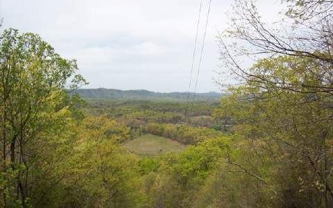 Main View