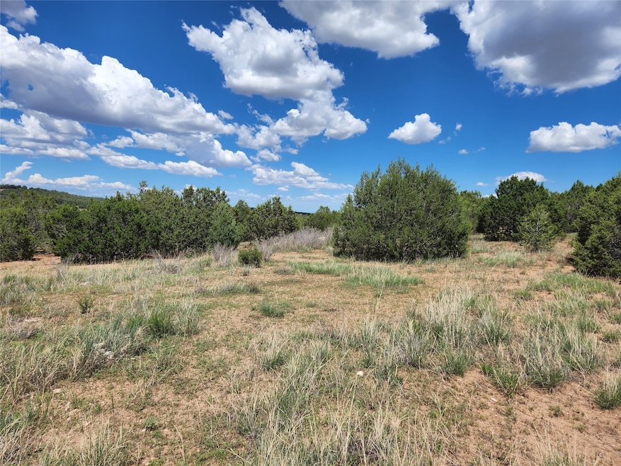 XXXX Brannon Loop, Tijeras, NM 87059 - photo 1