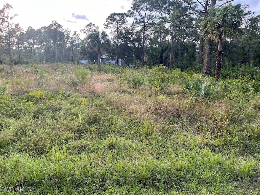 View from road looking west.