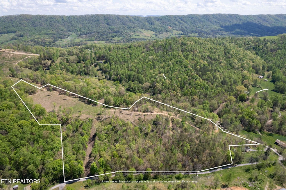 28-web-or-mls-DJI_0835