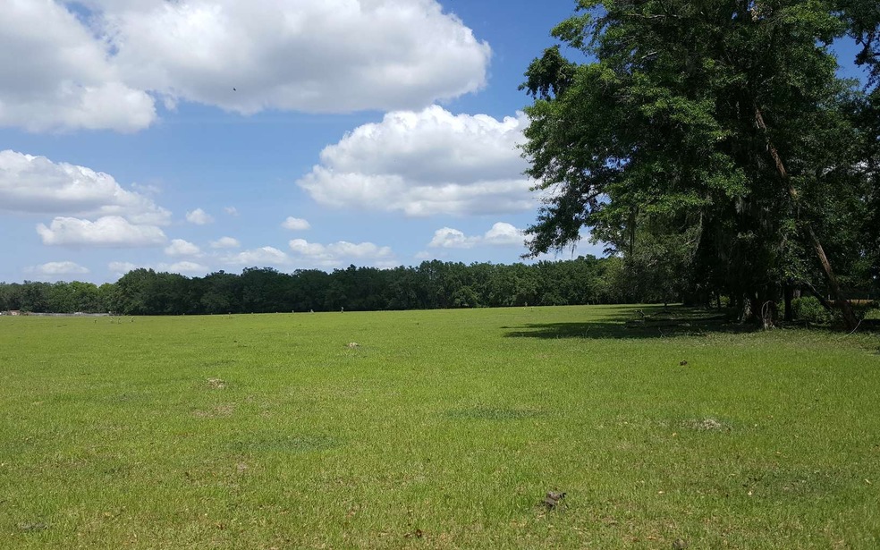 TBD Paul Pearce Ln, Lake City, FL 32024 - photo 1