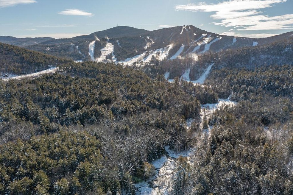 45 Greenleaf Trail, Gilford, NH 03249 - photo 1