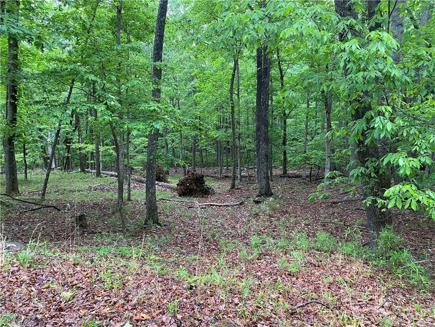 0 Denny Ridge Rd unit 7046831, Jasper, GA 30143 - photo 1