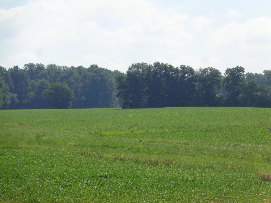 DSC00501