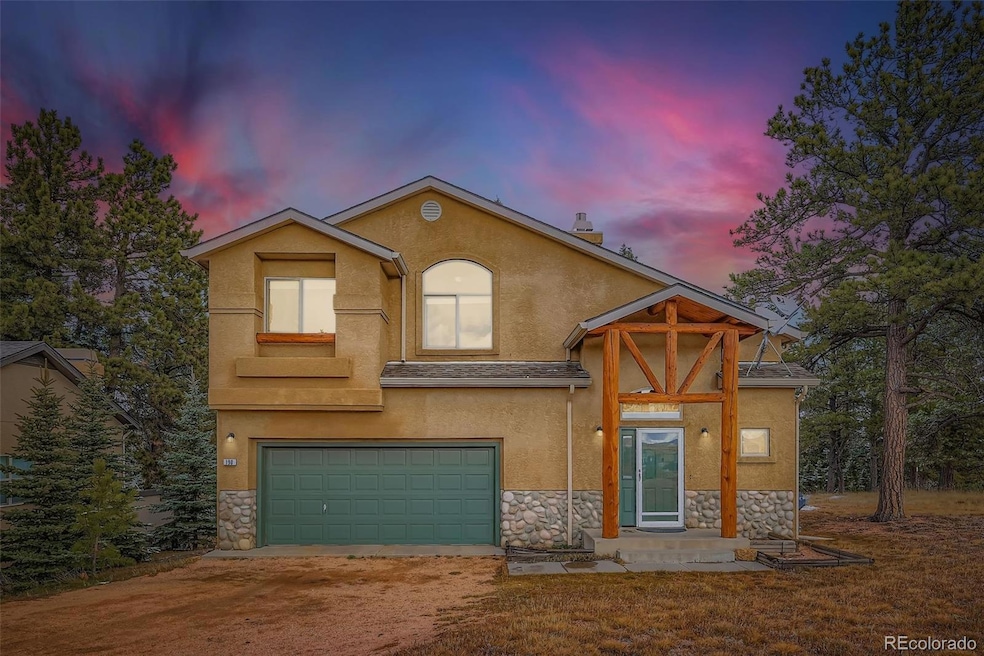 190 Shannon Place, Divide, CO 80814 - photo 1