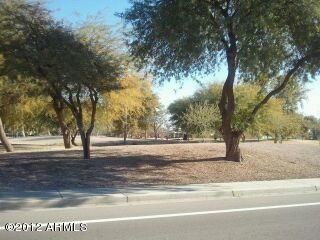 Community Park