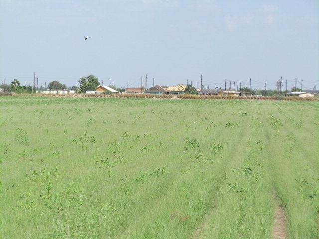 0 Sioux Rd, Donna, TX 78537 - photo 1
