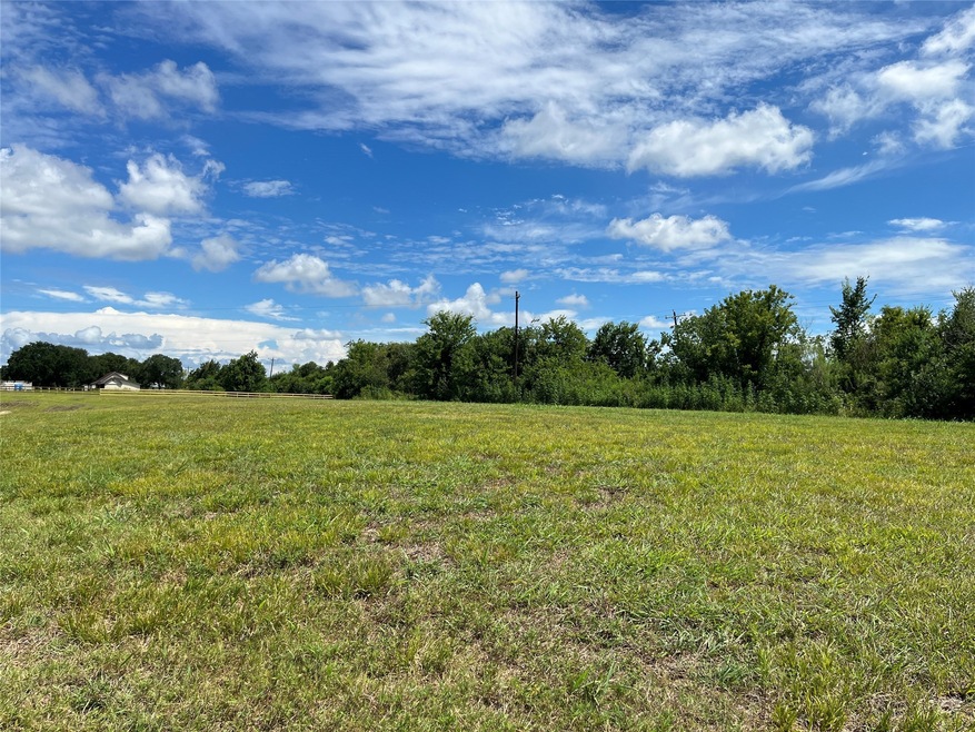 Welcome home! This property has been in the same family for over 100 years and has never flooded, in any of Friendswood & Pearland's most notorious floods. This is a rare gem. We are looking south now, toward the neighbor's place.