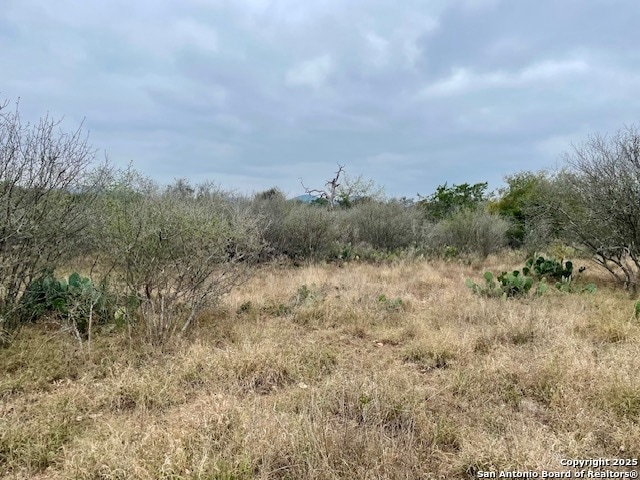 LOT 22 Brown Saddle Cir, Bandera, TX 78003 - photo 1