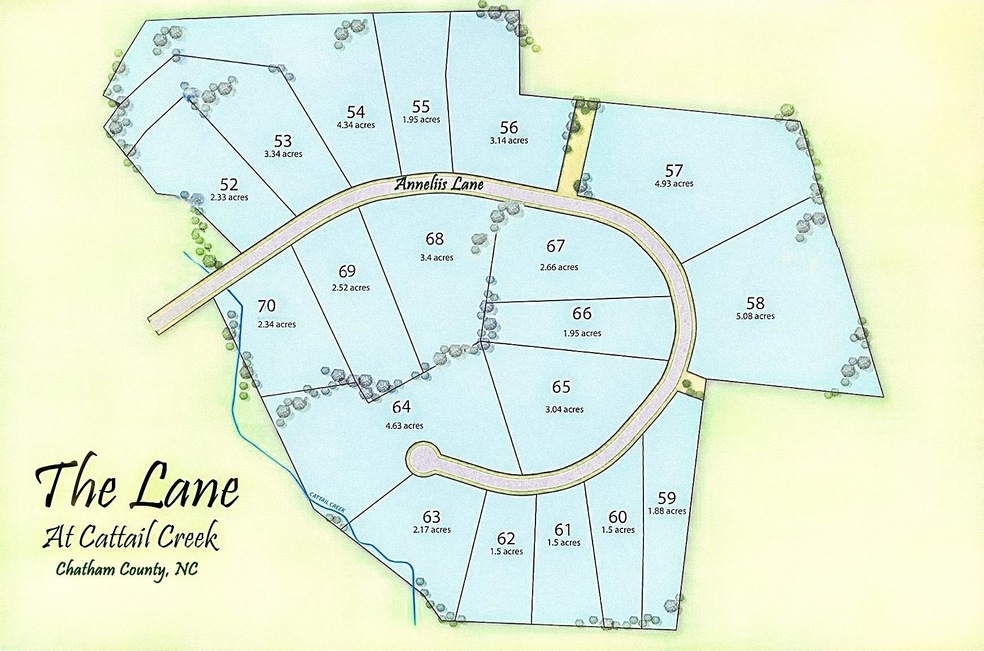 247 Anneliis Ln, Siler City, NC 27344 - photo 1