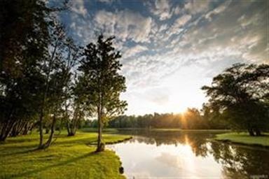 Views from your next home at 8371 Timber Trace Lan