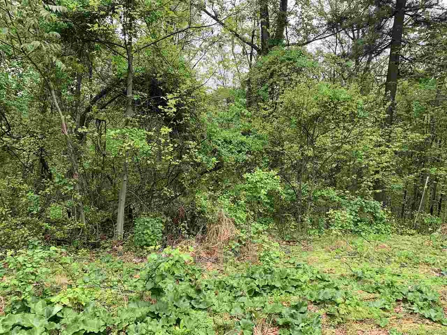 0 Whispering Ln unit 603383, Stanley, VA 22851 - photo 1