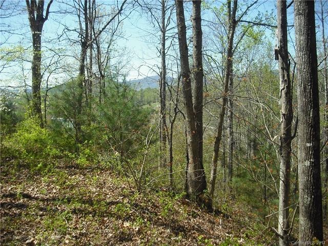 16 Carr Dr unit LOT 6, Leicester, NC 28748 - photo 1