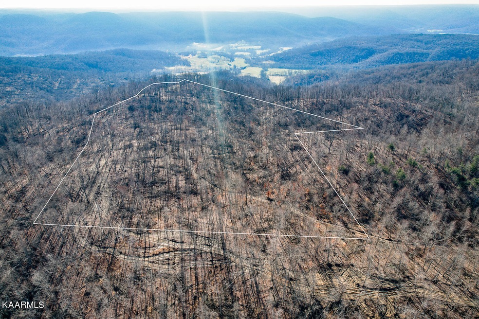 143.2AC Round Cove Rd, Cookeville, TN 38501 - photo 1