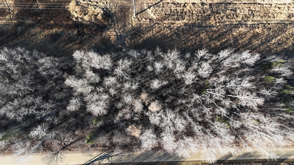 Parcel B Parameter Rd, Deer River, MN 56636 - photo 1