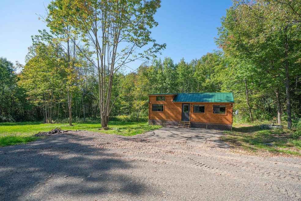 2155 Ed Klug Rd, Franklin, NY 13775 - photo 1