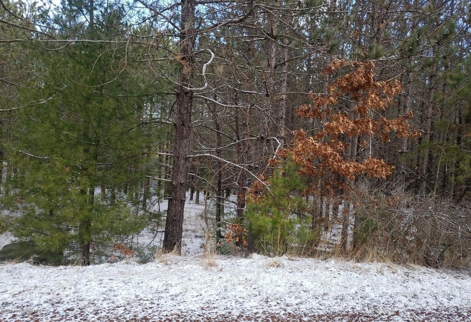 Lot 10 Vallone Way, Blooming Grove Township, PA 18428 - photo 1