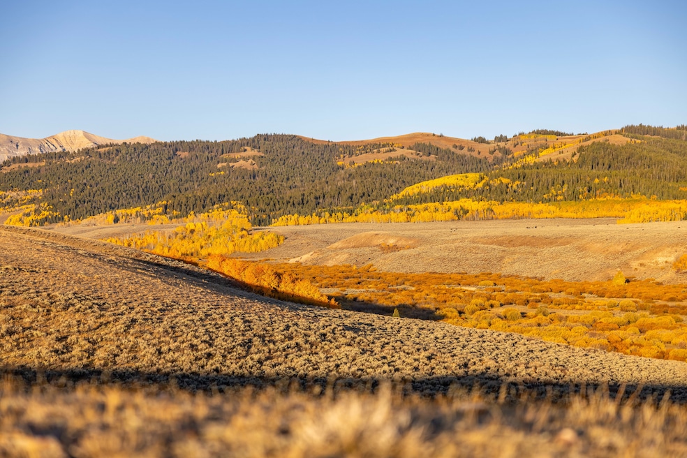 0 Tbd unit 11610084, Big Piney, WY 83113 - photo 1