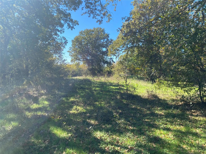 TBD Wyona Dr, Corsicana, TX 75109 - photo 1