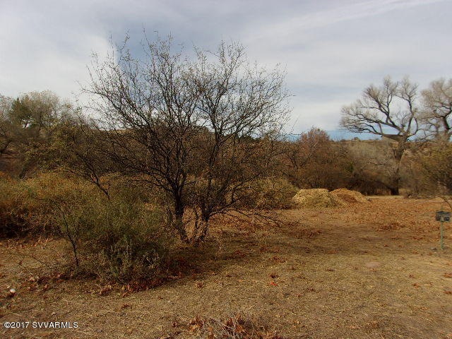 Main Photo